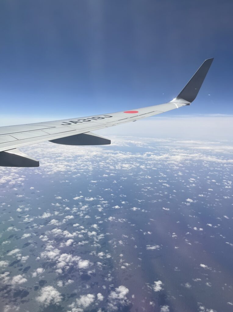 飛行機の窓から撮った写真